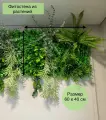 Фитостена из декоративных растений модульная в размере 60х40 см