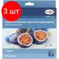 Комплект 3 шт, Карандаши цветные художественные Гамма Студия, 48цв, заточен, картон. упаковка