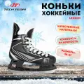 Хоккейные коньки TechTeam Atlant р.43