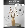 Сухоцветы Хлопок для декора, 3 ветки, 8 бутонов