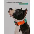 Ошейник широкий повседневный, CORADOG Basic, для средних и крупных собак, бирюзовый оранжевый, размер L-4 48-70 см