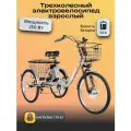 Электровелосипед трехколесный для взрослых РВЗ Чемпион , серебро 250,12