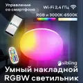 Умный накладной WiFi светильник 24 Вт Sibling Powerlite - LCL, RGB, диаметр 30 см, IP44 (работает с Алисой