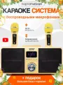 Караоке система SDRD с двумя микрофонами, с функцией Bluetooth и USB разъемом