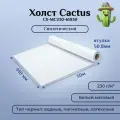 Холст Cactus CS-MC230-61030 24(A1) 610мм-30м, 230г/м2, белый матовое синтетика для струйной печати, втулка: 50,8мм (2).