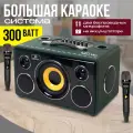Караоке-система NOIR-Audio MAX-300 с двумя микрофонами и колонкой