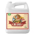 Стимулятор Advanced Nutrients B-52 5 л