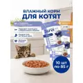 Влажный корм Jarvi для котят и беременных кошек (кусочки в желе) Телятина, 85 г х 10 шт.