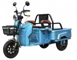 Электротрицикл Ecoget-М