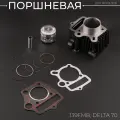 Поршневая (ЦПГ) Alpha, Delta 70 (D-47) 147FMB/139FMB BEEZMOTO