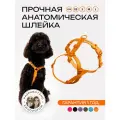 Шлейка для собак мелких и средних пород анатомическая размер XS, оранжевая, PRO COMFORT