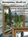 Фоторамка из пластика 35х45 см Садко 3 золото ширина багета 30 мм