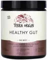 Terra Origin, Healthy Gut, для ЖКТ в порошке, 243 гр, ягодный