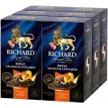 Чай Richard Royal Orange & Cinnamon черный ароматизированный 25 сашет х 6 упаковок
