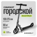 Самокат Dewolf DeScoot 180 PRO Storm gray