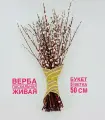 Пасхальный букет из вербы. Верба живая пасхальная красноталка. Букет на Пасху