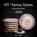 Шу пуэр Иу Чжен Шань Ранней весны 2009 Gu Yi / Гу И / 357 г