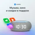Умная колонка Маруся, VK капсула мини с голосовым помощником, умная станция, цвет серый, 3 месяца подписки VK в подарок