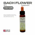 Clematis (Ломонос) Клематис. Цветы Баха, эссенция №9 - капли 10 мл. Англия