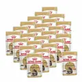 Royal Canin Maine Coon Adult влажный корм для взрослых кошек породы Мэйн Кун в соусе, в паучах - 85 г х 24 шт.