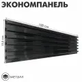 Экономпанель металл 1 мм, 1 паз, 100×1,9×15,5 см, шаг 2,5 см, цвет чёрный