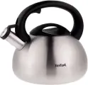 Чайник для плиты Tefal C7921024, серебристый