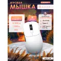 Игровая беспроводная / проводная мышь AJAZZ AJ179V2
