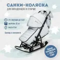 Санки-коляска Pikate Onyx выдвижные колеса, перекидная ручка, сумка для мамы, цвет Белый