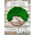 Картина Древо жизни/дерево из стабилизированного мха 40 см/интерьерный декор дерево из мха/панно из мха ягеля для кухни гостиной спальни, дизайна, вертикального озеленения/подарок на день рождения, праздник, свадьбу
