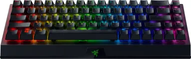 Беспроводная клавиатура Razer BlackWidow V3 Mini HyperSpeed Razer Green / Clicky, русская раскладка, черный