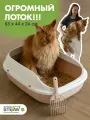 Лоток для кошек с высокими бортиками STEFAN (Штефан) большой, под наполнитель(ХL), 63х45х24, BP29013, бежевый