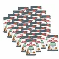 Royal Canin Digestive Care влажный корм для взрослых кошек с чувствительным пищеварением, в паучах, в соусе - 85 г х 32 шт.