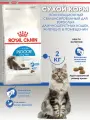 Royal Canin Indoor Long Hair 35 для домашних длинношерстных кошек - 2 кг