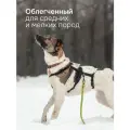 Поводок для собак биотановый KUSAKA 2.5м оливковый, для мелких и средних пород