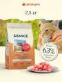 AVANCE holistic Полнорационный сухой корм для взрослых кошек с индейкой и бурым рисом, 2,5кг