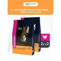Сухой корм Eukanuba Cat для взрослых кошек Домашняя птица, 2 кг х 2 шт.