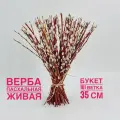 Пасхальная живая верба 101 веточка. Букет из вербы на Пасху