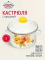 Кастрюля эмалированная сталь, 3 л, с крышкой, крышка сталь, Сибирские товары, Весна, 1MD181M, индукция