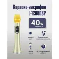 Профессиональный караоке-микрофон L-1288DSP 40w, золотой