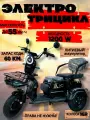 Универсальный электротрицикл с багажником для всей семьи, 1200W, до 60 км/ч