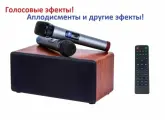 Караоке колонка AveryStar S-10 с микрофонами