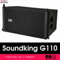 Акустическая система Soundking G110