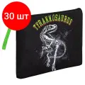 Комплект 30 шт, Папка для тетрадей BRAUBERG А5, 1 отделение, полиэстер, на молнии, с ручкой, Tyrannosaur, 272203