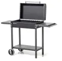 Гриль Naterial МАН 203, 48х127,5 см
