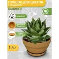 Горшок для цветов с поддоном Калипсо терракота 1,5л, d19см, h10,5см, керамика, неглазурованный