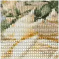 Cr 340017 Алмазная мозаика 'Белые розы', 30*40см, Cristyle