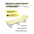 Раскладная кровать с матрасом Стефания с86 в ассортименте 192х65х24