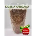 Плоды Кигелии Африканской (Kigelia Africana) дробленные, маска-скраб-убтан натуральная, Africa Natural, 250гр