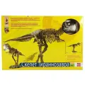 Набор Edu Toys Скелет Тираннозавра, 1 эксперимент, коричневый