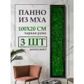 Панно из стабилизированного мха 100*20 см 3шт, большая настенная картина для интерьера, для дома и комнаты